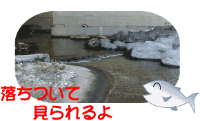 ���̐���