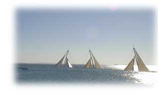 ��������猩����i�F