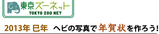 ヘビの写真で年賀状を作ろう！