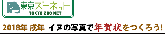 2018年 戌年 イヌの写真で年賀状をつくろう！