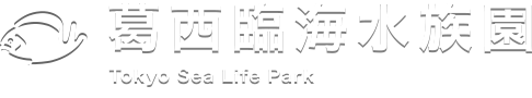 葛西臨海水族園公式サイト 東京ズーネット 葛西臨海水族園公式サイト 東京ズーネット