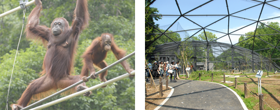 公園 多摩 動物 多摩動物公園