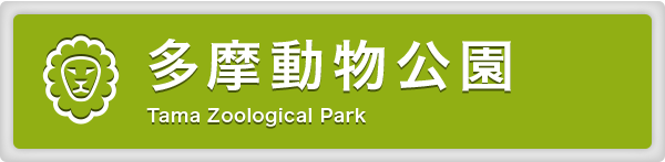 かんさつシート 多摩動物公園公式サイト 東京ズーネット