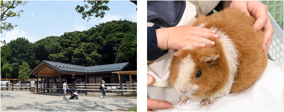 子ども動物園