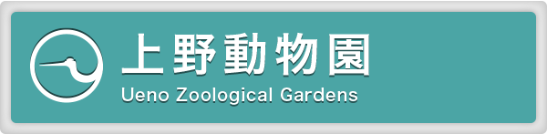 開園時間 休園日 入園料 上野動物園公式サイト 東京ズーネット