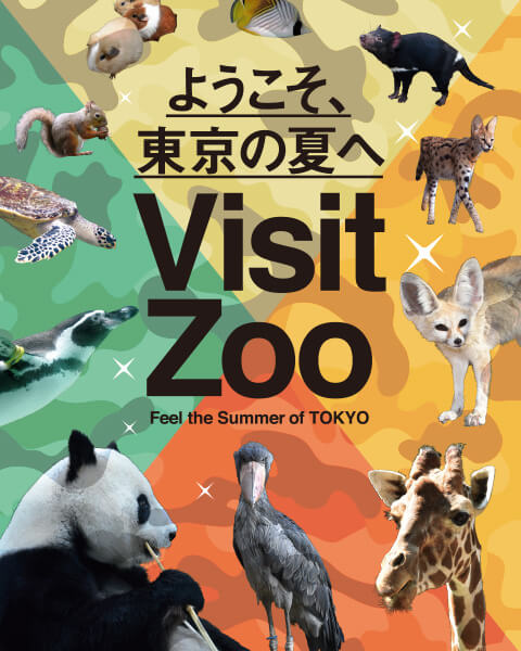 ようこそ、東京の夏へ　Visit Zoo　Feel the Summer of TOKYO