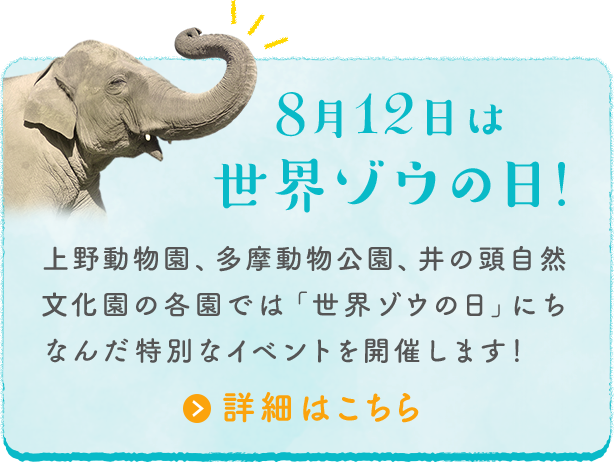 言葉じゃ教えられないことばかりだ Visit Zoo Summer 19 東京ズーネット 言葉じゃ教えられないことばかりだ Visit Zoo Summer 19 東京ズーネット