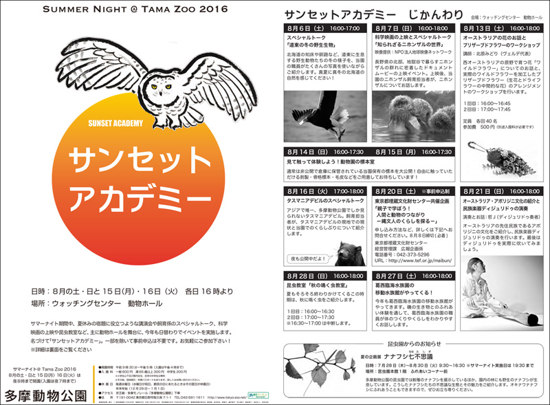 サンセットアカデミーチラシチラシ