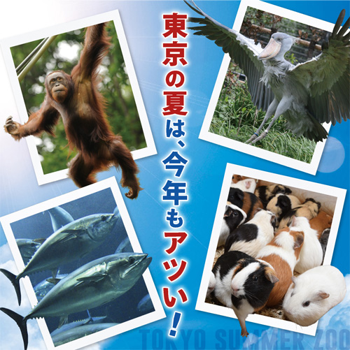 東京の夏を動物園・水族園で楽しもう2016