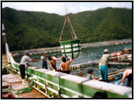 鹿児島県での輸送作業