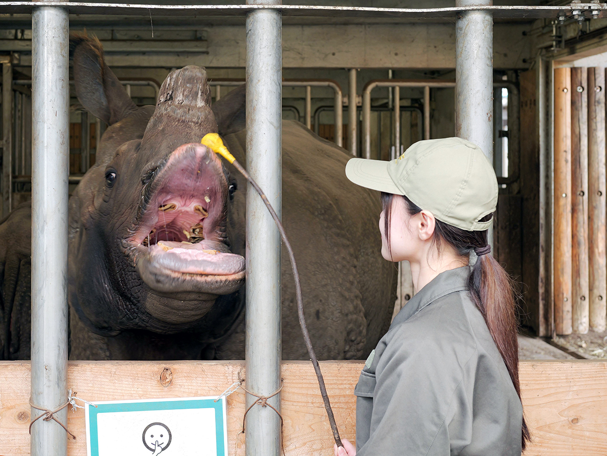 正職員募集（飼育展示部門、獣医師）へのリンク
