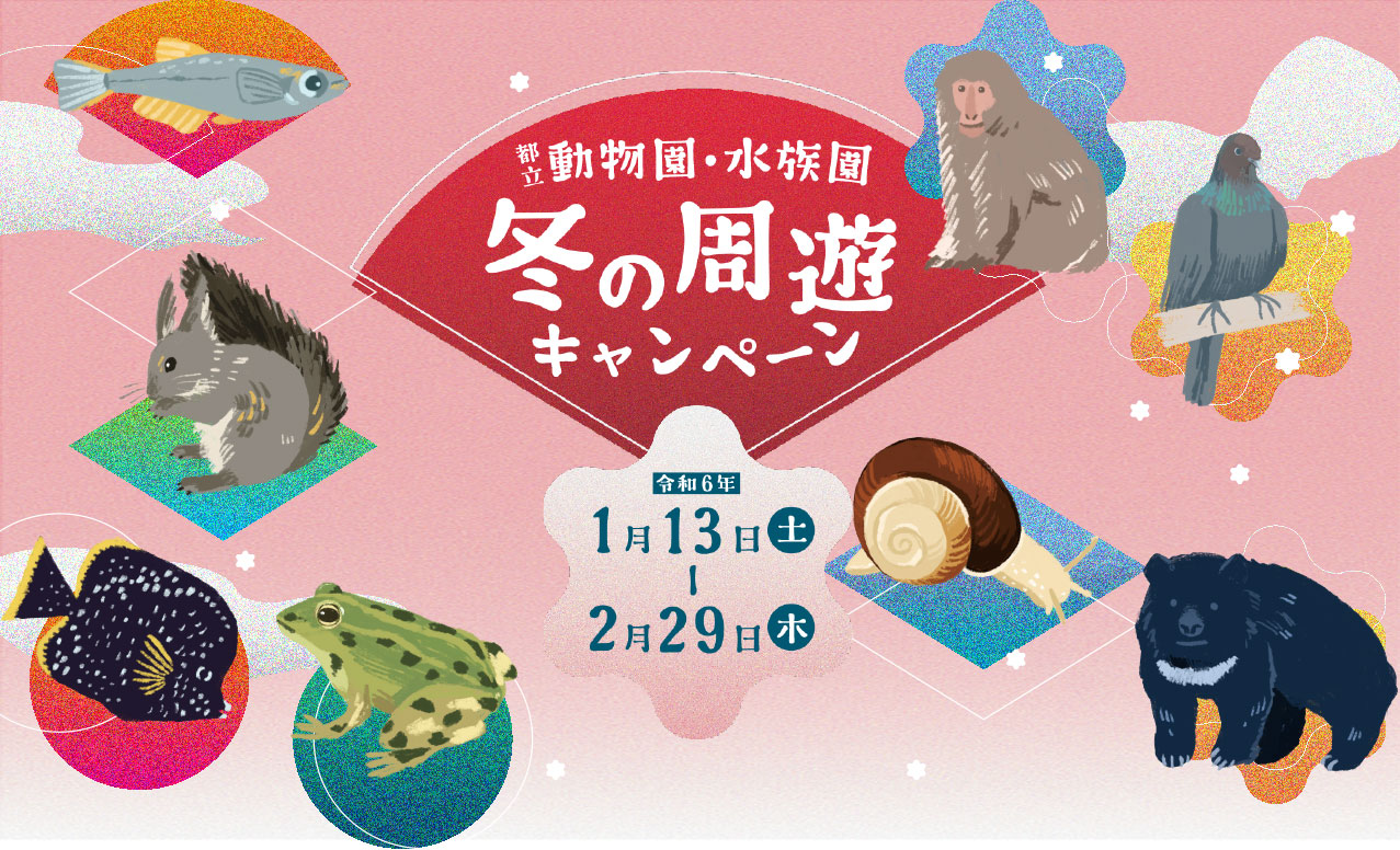 都立動物園・水族園冬の周遊キャンペーン　令和6年1月13日（土）〜2月29日（木）