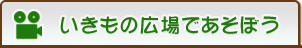 いきもの広場であそぼう