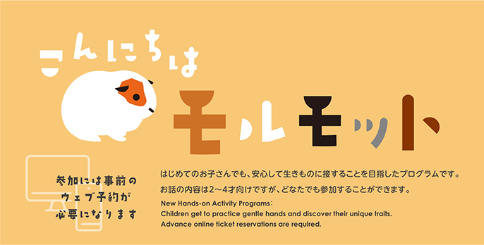 こんにちは。モルモット