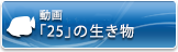 動画「25」の生き物