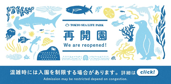 G9kzunlz 2stnm G9kzunlz 2stnm