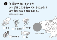 たんけんシリーズ/たべものたんけん号