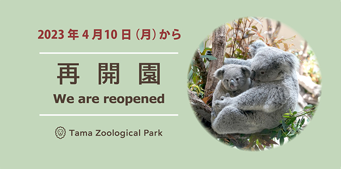 再開園 2023年4月10日