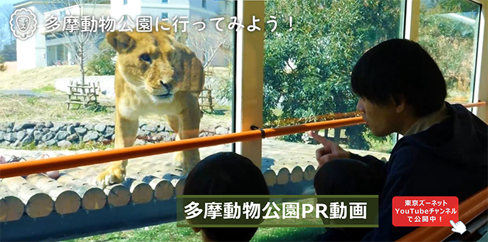 多摩動物園PR動画