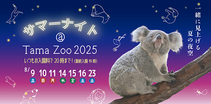 多摩 サマーナイト
