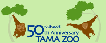 多摩動物公園は、今年（2008年）の5月5日で開園50周年を迎えます！
今年一年、さまざまなイベントをお送りします。
くわしくは、イベントタイトルをクリックしてください。