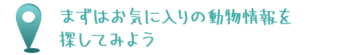 まずはお気に入りの動物情報を探してみよう