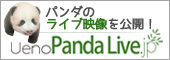パンダのライブ映像を公開！UenoPandaLive.jp
