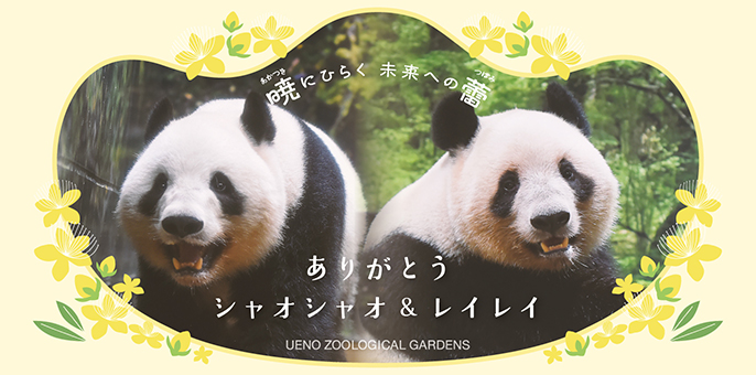 ありがとう、シャオシャオ＆レイレイ