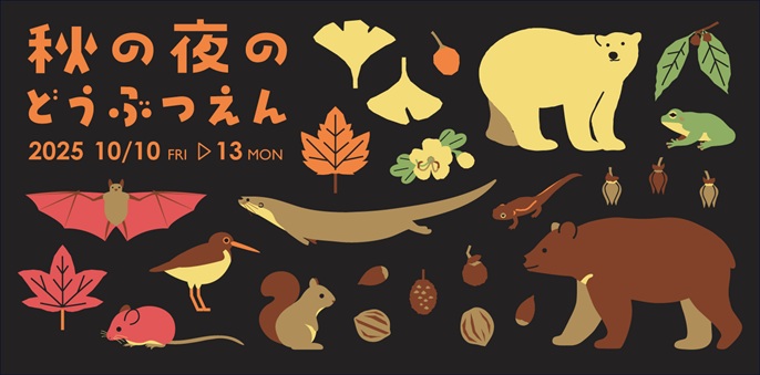 秋の夜の動物園