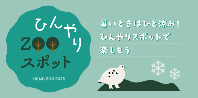 ひんやりZOOスポット