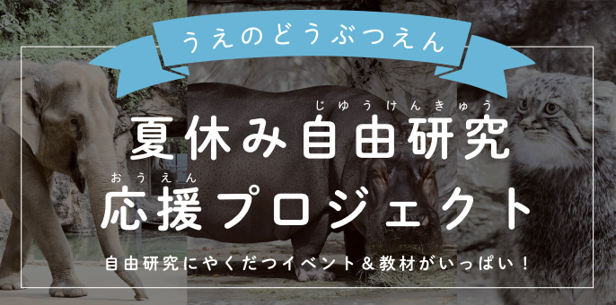 夏休み自由研究応援プロジェクト