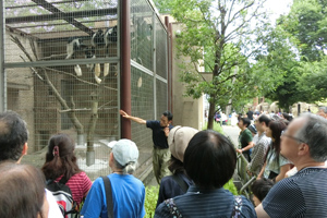 サル舎の見学