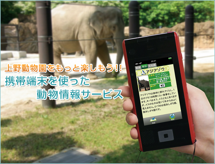 上野動物園・携帯端末情報サービス